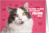 Get Well Soon Cat Humor card