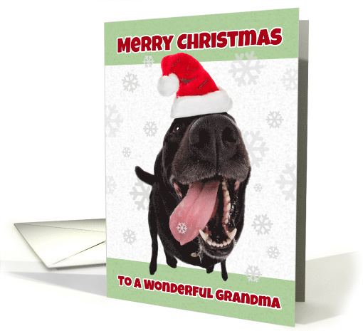 Merry Christmas Grandma Funny Dog in Santa Hat Humor card (1535912)