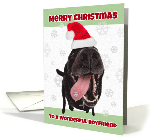 Merry Christmas Boyfriend Funny Dog in Santa Hat Humor card (1535922)
