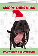 Merry Christmas Boyfriend Funny Dog in Santa Hat Humor card