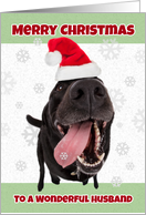 Merry Christmas Husband Funny Dog in Santa Hat Humor card