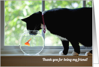 Thank You for being My Friend Cat and Fish Humor card
