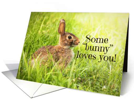 Happy Birthday Some Bunny Loves You card (1536424)