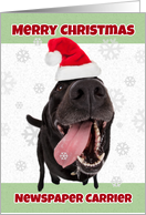 Merry Christmas Newspaper Carrier Funny Dog in Santa Hat Humor card