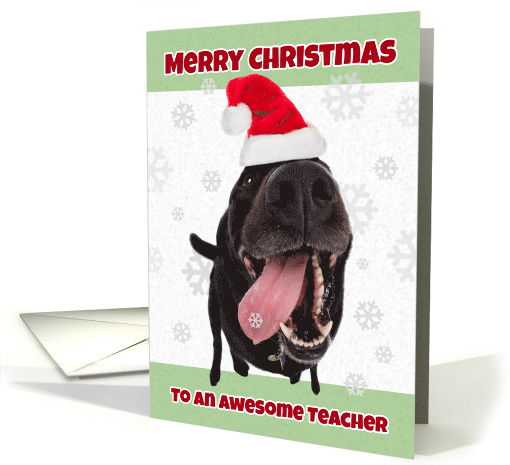 Merry Christmas Teacher Dog in Santa Hat Humor card (1536582)