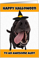 Happy Halloween Aunt Funny Dog in Witch Hat Humor card