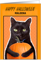 Happy Halloween Custom Name Cute Black Cat with Pumpkin Humor card