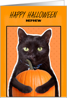 Happy Halloween Nephew Cute Black Cat with Pumpkin Humor card