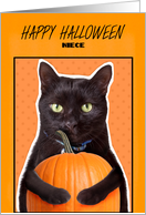 Happy Halloween Niece Cute Black Cat with Pumpkin Humor card