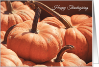 Happy Thanksgiving Jack Be Little Pumpkins card