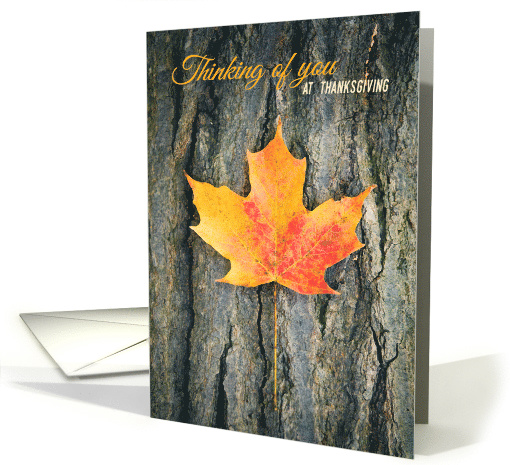 Thinking of You at Thanksgiving Fall Leaf Photograph card (1539408)