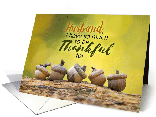 Happy Thanksgiving Husband Fall Acorns card (1539618)