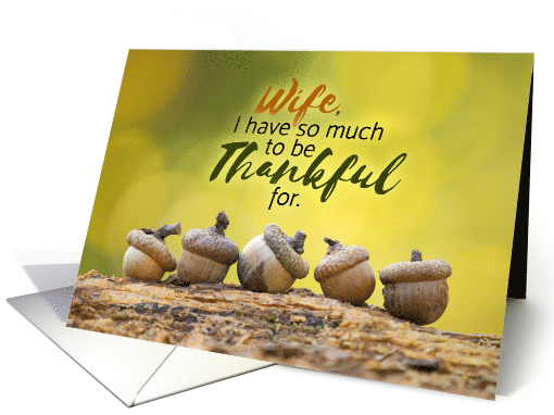 Happy Thanksgiving Wife Fall Acorns card (1539622)