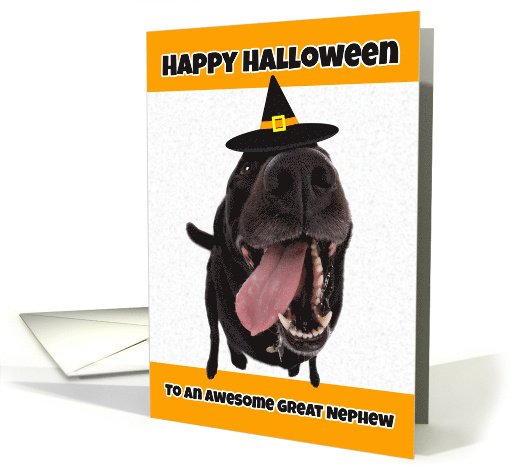 Happy Halloween Great Nephew Cute Dog in Witch Hat Humor card