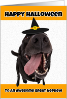 Happy Halloween Great Nephew Cute Dog in Witch Hat Humor card