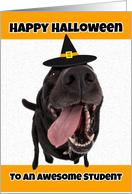 Happy Halloween Student Cute Dog in Witch Hat Humor card