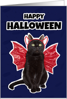 Happy Halloween Cat in Devil Costume Humor card