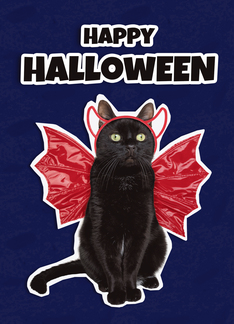 Happy Halloween Cat...