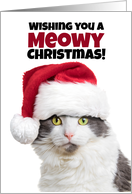 Merry Meowy Christmas and Purr-fect New Year Cat in Santa Hat card