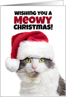 Merry Meowy...