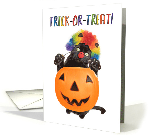 Happy Halloween Cat Dressed as Clown Humor card (1540730)