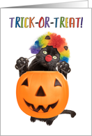 Happy Halloween Cat Dressed as Clown Humor card
