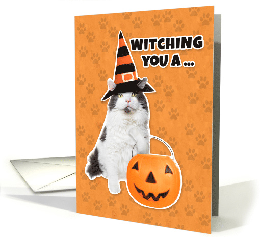 Happy Halloween Funny Cat in Witch Hat Humor card (1540856)