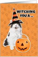 Happy Halloween Funny Cat in Witch Hat Humor card