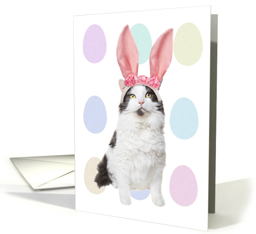 Happy Easter Cat in Bunny Ears Humor card (1541098)
