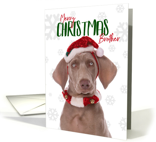 Merry Christmas Brother Weimaraner Dog Humor card (1541530)