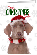 Merry Christmas Sister Weimaraner Dog Humor card