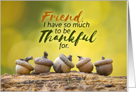 Happy Thanksgiving Friend Fall Acorns card