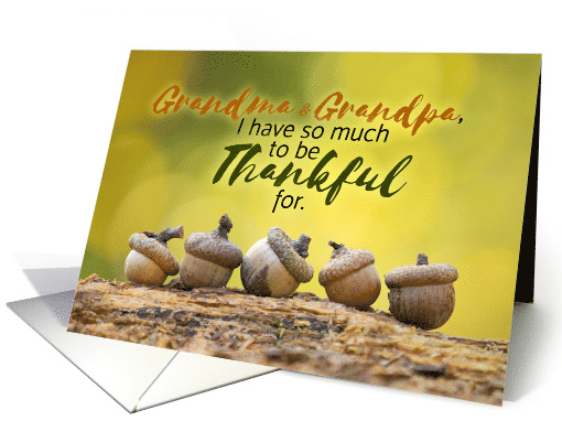 Happy Thanksgiving Grandma and Grandpa Fall Acorns card (1541560)