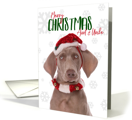 Merry Christmas Aunt and Uncle Weimaraner Dog in Santa Hat Humor card