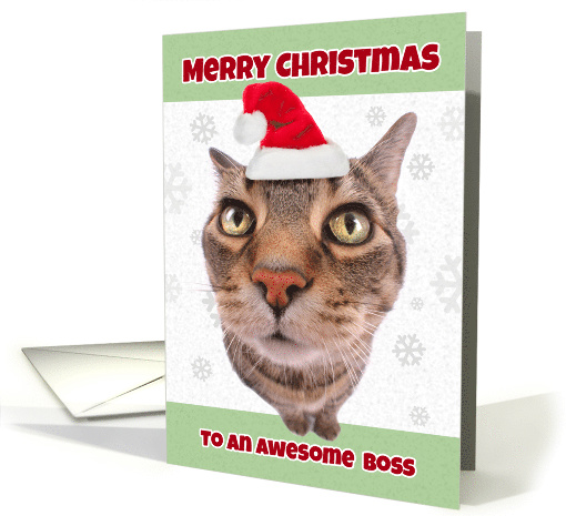 Merry Christmas Boss Funny Cat in Santa Hat Humor card (1542012)