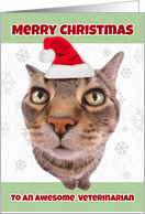 Merry Christmas Veterinarian Funny Cat in Santa Hat Humor card