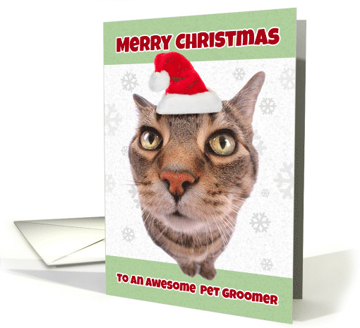 Merry Christmas Pet Groomer Funny Cat in Santa Hat Humor card
