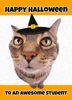 Happy Halloween Student Funny Cat in a Witch Hat Humor