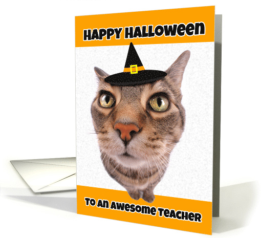 Happy Halloween Teacher Funny Cat in a Witch Hat Humor card (1542034)