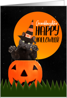 Happy Halloween Granddaughter Cute Black Cat in Pumpkin card