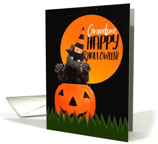 Happy Halloween Grandson Cute Black Cat in Pumpkin card (1542408)