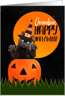 Happy Halloween Grandson Cute Black Cat in Pumpkin card