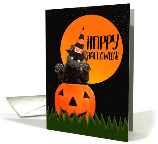 Happy Halloween For Anyone Cute Black Cat in Pumpkin card (1542424)