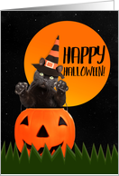 Happy Halloween For...