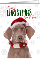 Merry Christmas Mom and Dad Weimaraner Dog Humor card
