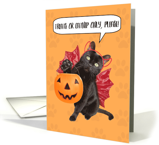 Happy Halloween For Anyone Cat Trick-or-Treating Humor card (1542640)