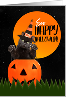 Happy Halloween Son Cute Cat Jumping From Pumpkin card