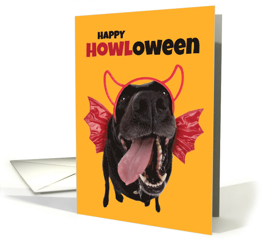 Happy Hallowen For Anyone Cute Fog in Costume Humor card (1542940)