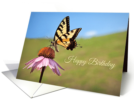 Happy Birthday For Anyone Beautiful Butterfly Photograph card