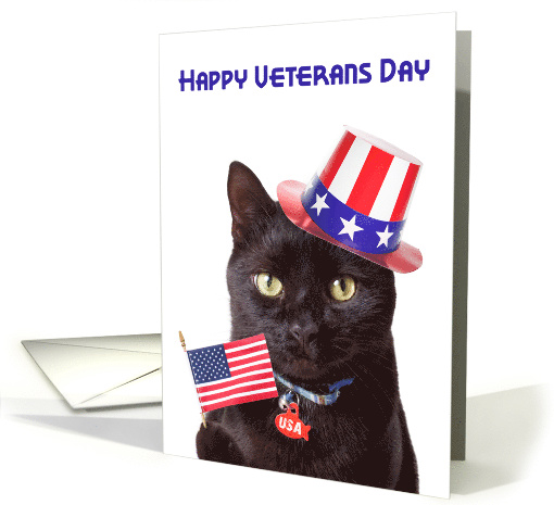 Happy Veterans Day Cute Patriotic Cat card (1543938)